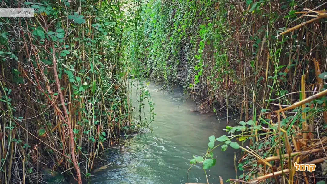 מסלול הליכה במים