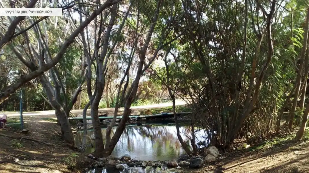 מסלול מרהיב ומהנה