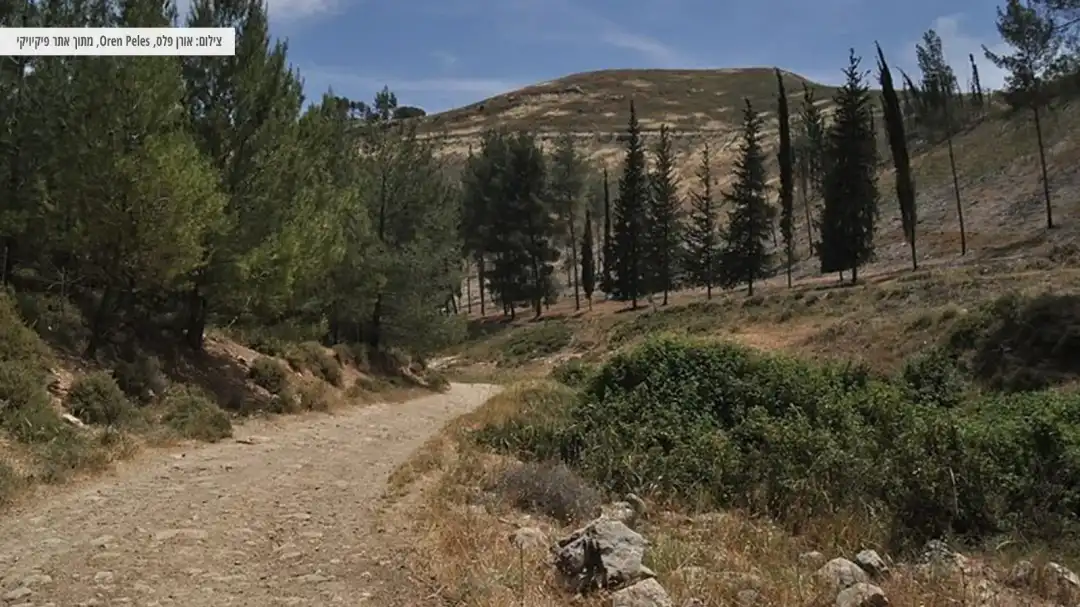 שביל עפר בנחל