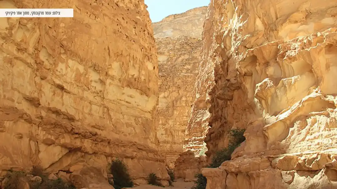 מסלול מדהים בנחל ברק