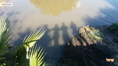 צלליות של אנשים משתקפות במים