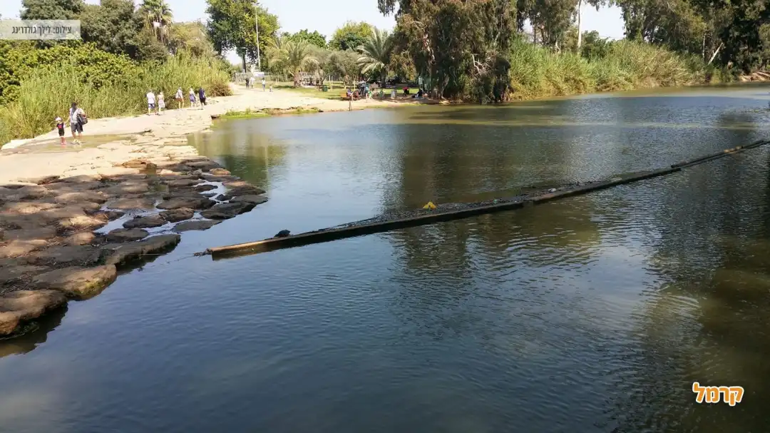 אנשים מבלים בפארק