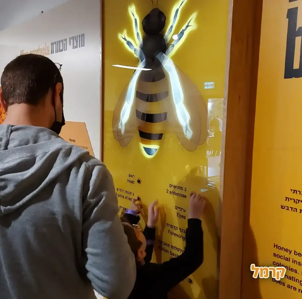 מרכז המבקרים מרכז המבקרים