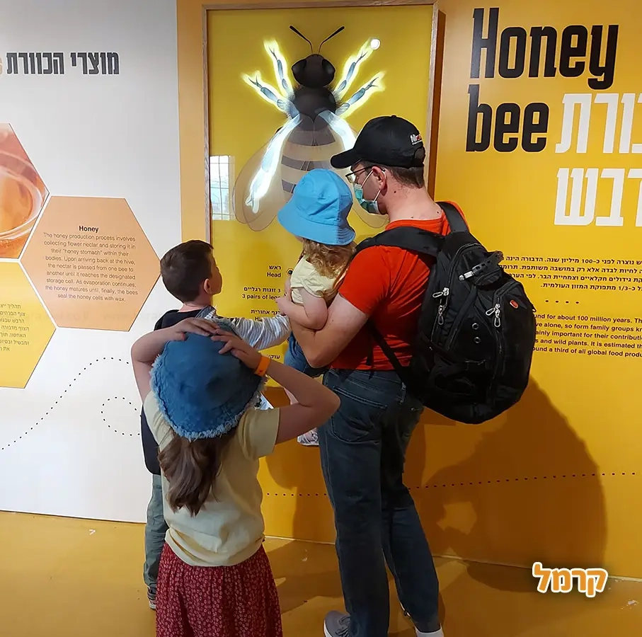 מייצג מייצג