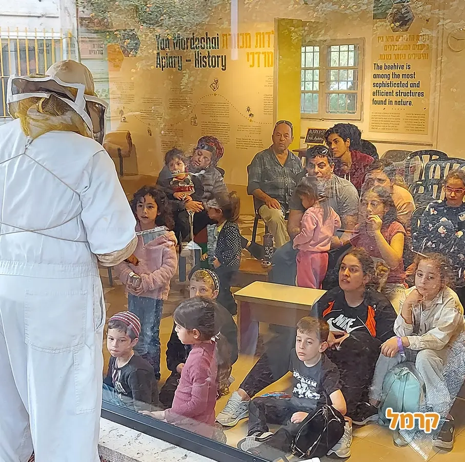 הסבר מהדבוראי שלנו הסבר מהדבוראי שלנו