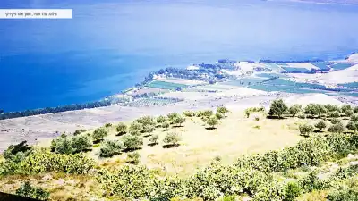 תצפית על החוף