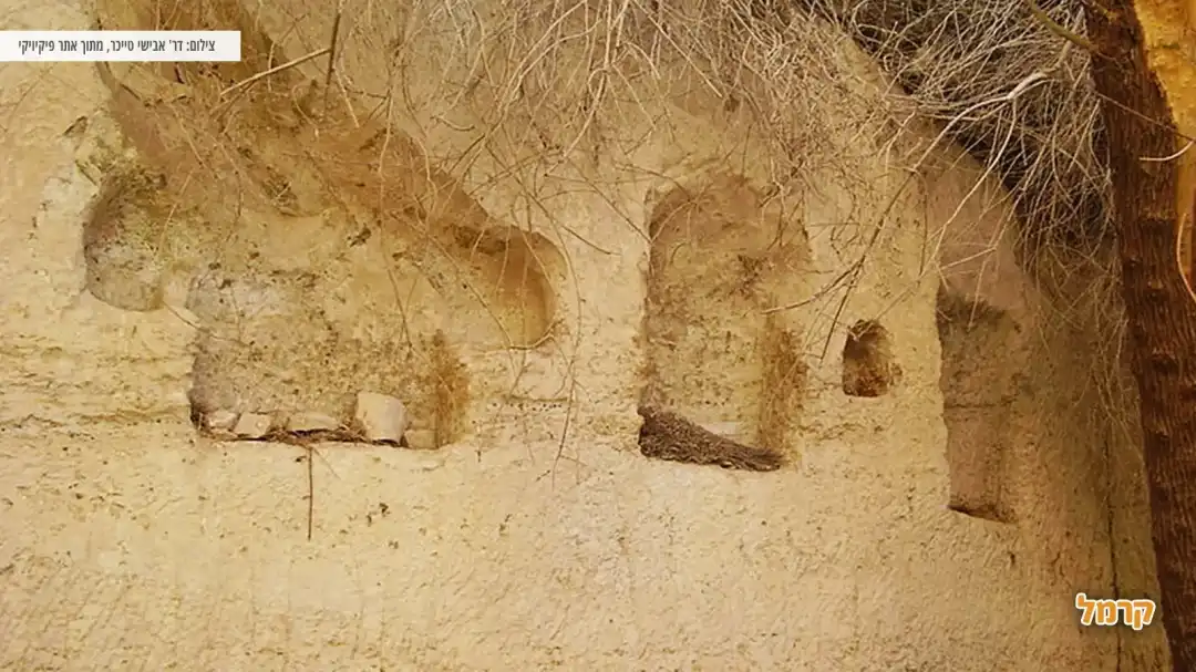 בור חווארים מיוחד