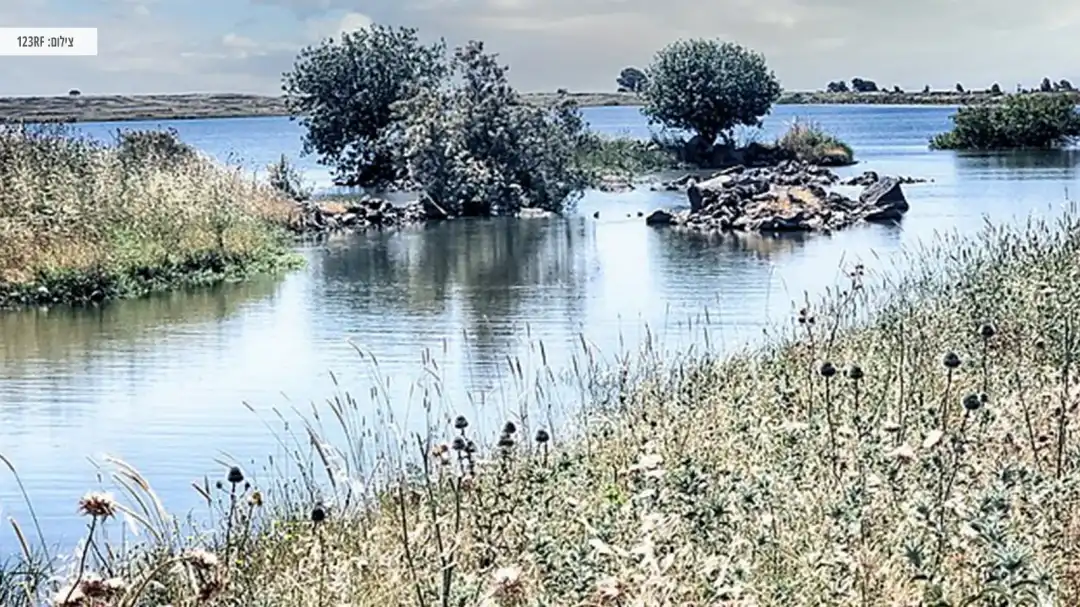 נחל דליות המרהיב