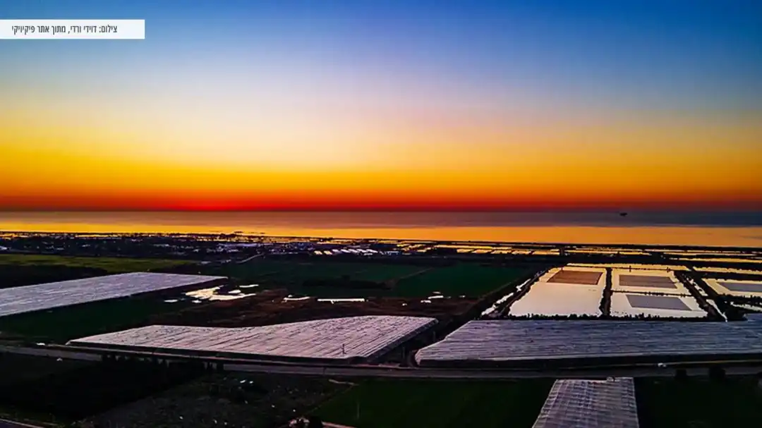 תצפית על מעגן מיכאל