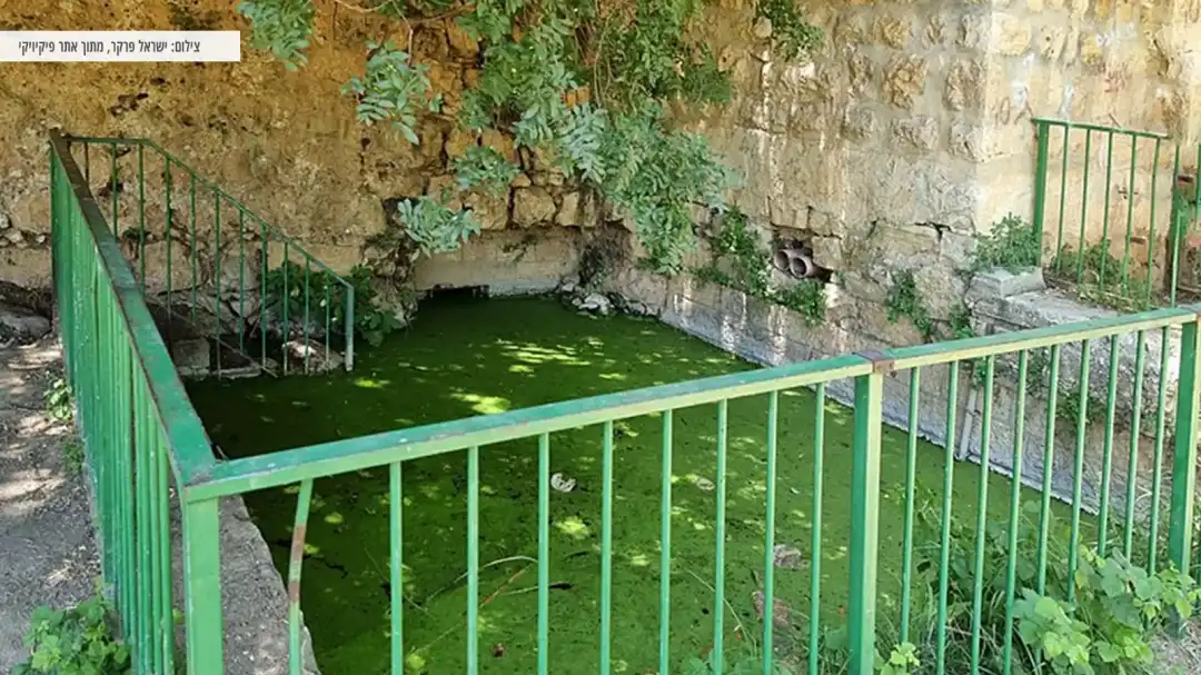 איזור מגודר עם דשא לישיבה