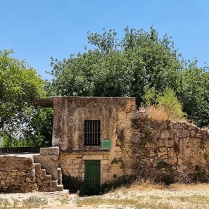 עמק הארזים