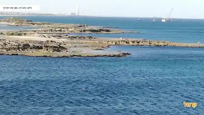 חוף נחשולים מקום מושלם לבילוי