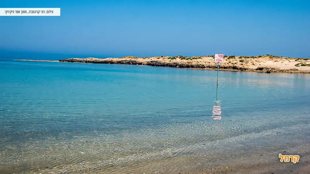 בילוי בחוף נחשולים