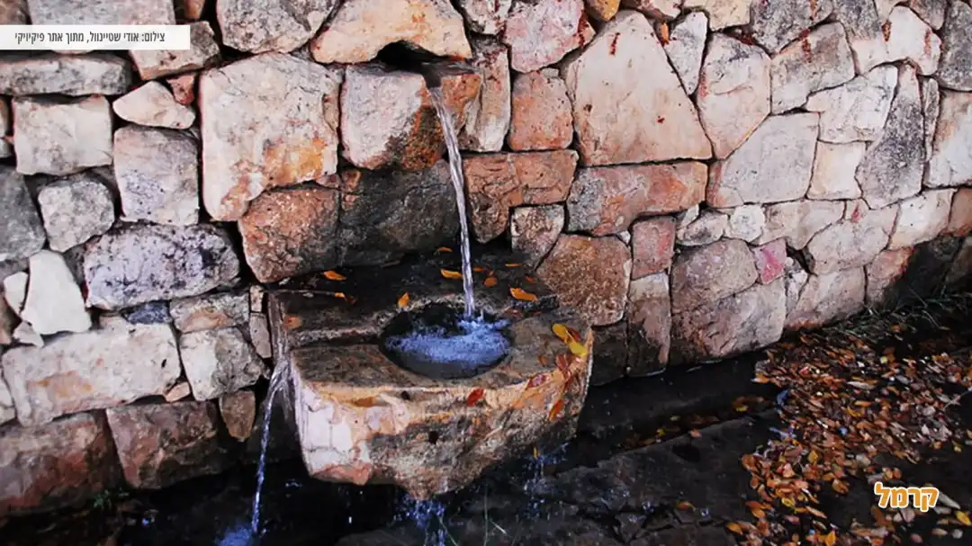 מעיין בעין חמד