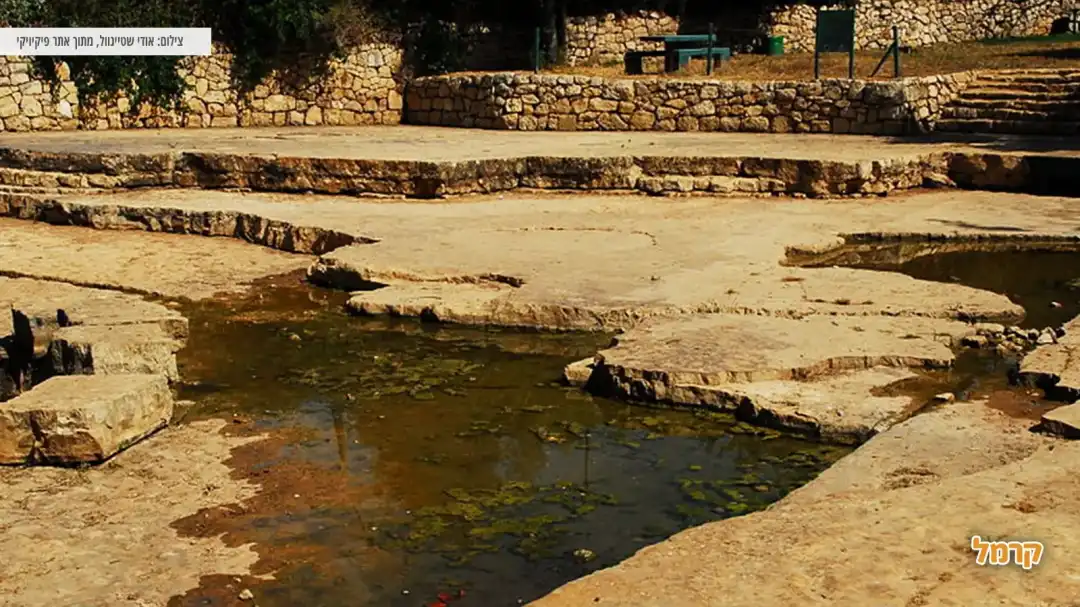 שמורת עין חמד