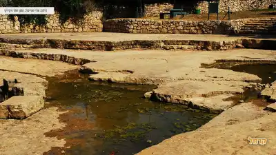 שמורת עין חמד