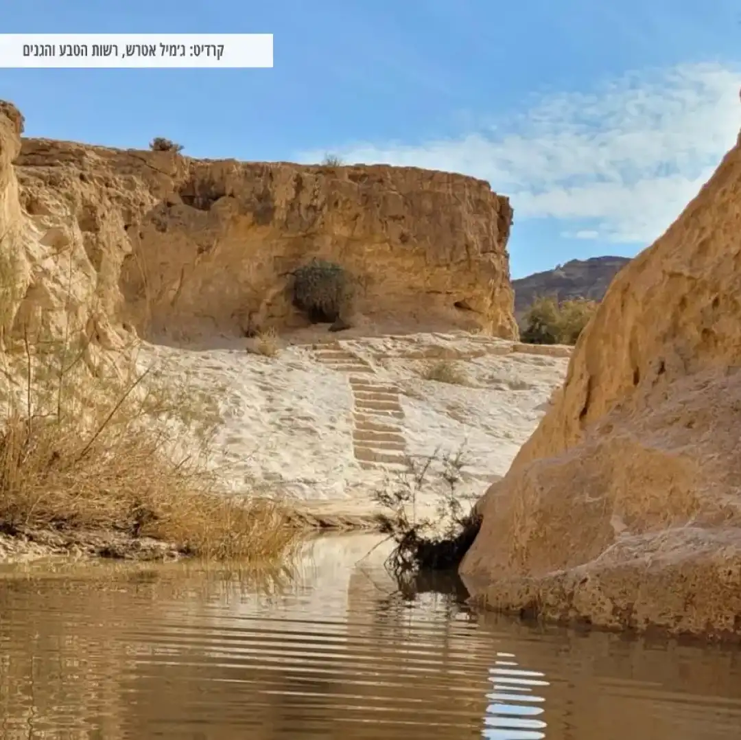 מסלול עין ירקעם בעונת החורף
