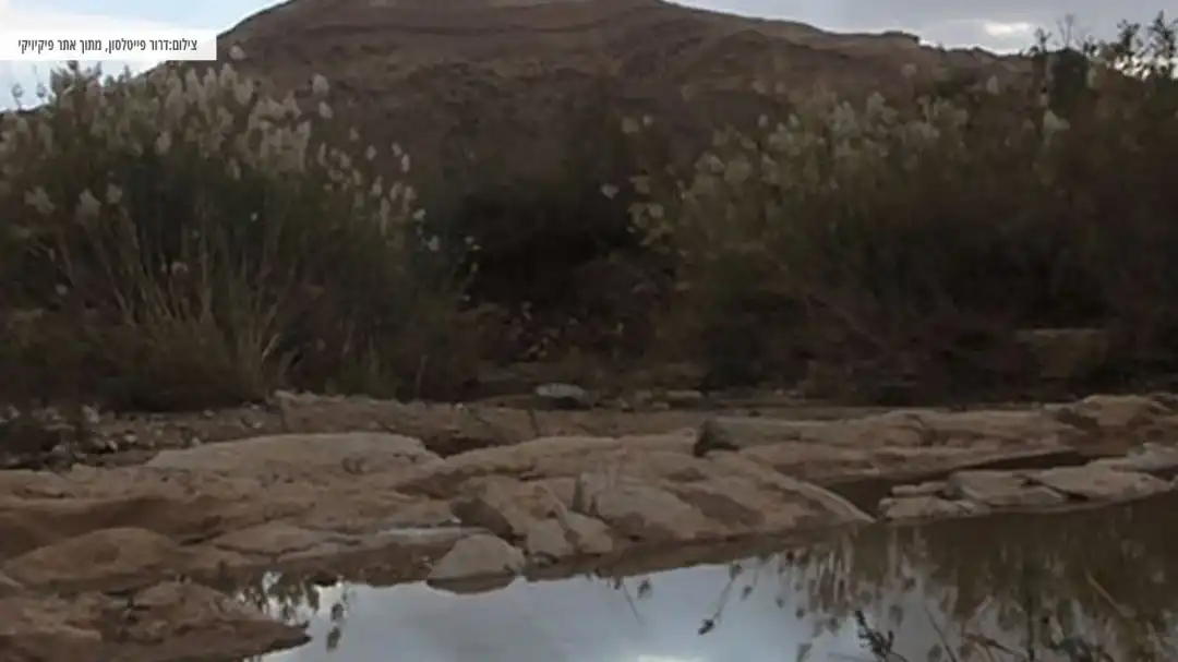 חוויה נפלאה בעין סהרונים