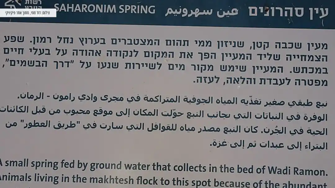 פירוט על עין סהרונים