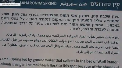 פירוט על עין סהרונים