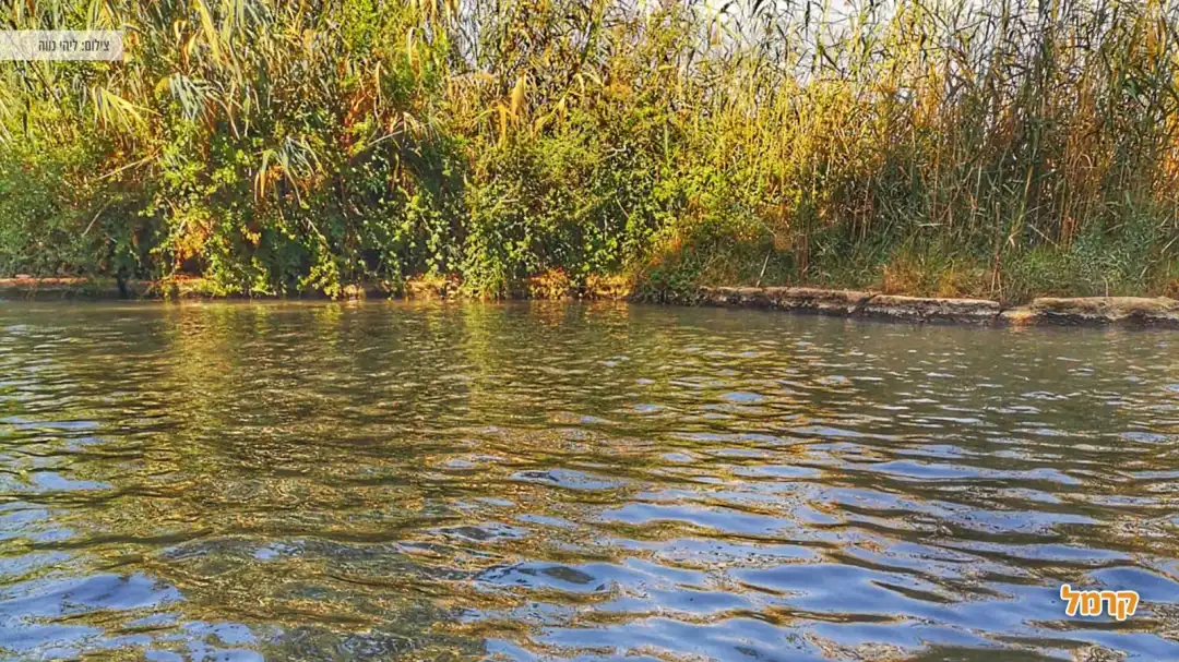 בריכת מים טבעית בעמק המעיינות