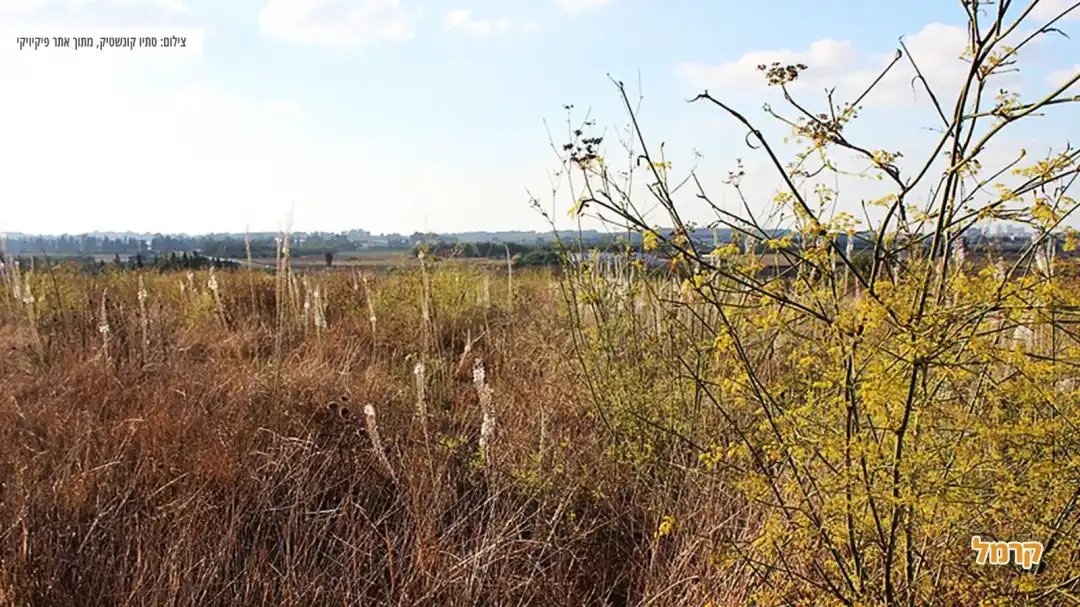 צמחיה ונוף יפייפה בתל חפר