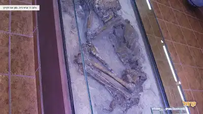 מוזיאון האדם הקדמון, מעיין ברוך