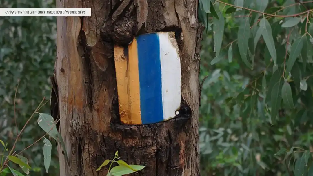 סימון שביל ישראל באזור היער