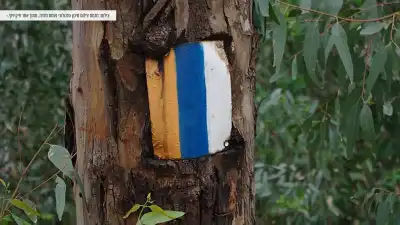 סימון שביל ישראל באזור היער