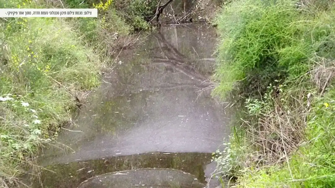 חורף ביער חדרה