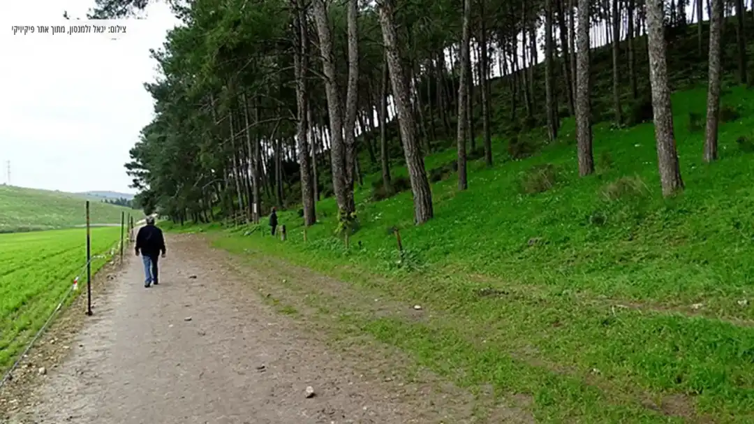 גבעת הרקפות