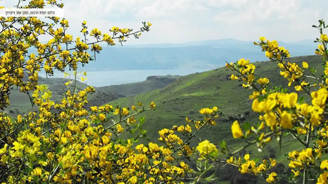 תצפית עם נוף מרהיב מעין פיק אל הכנרת