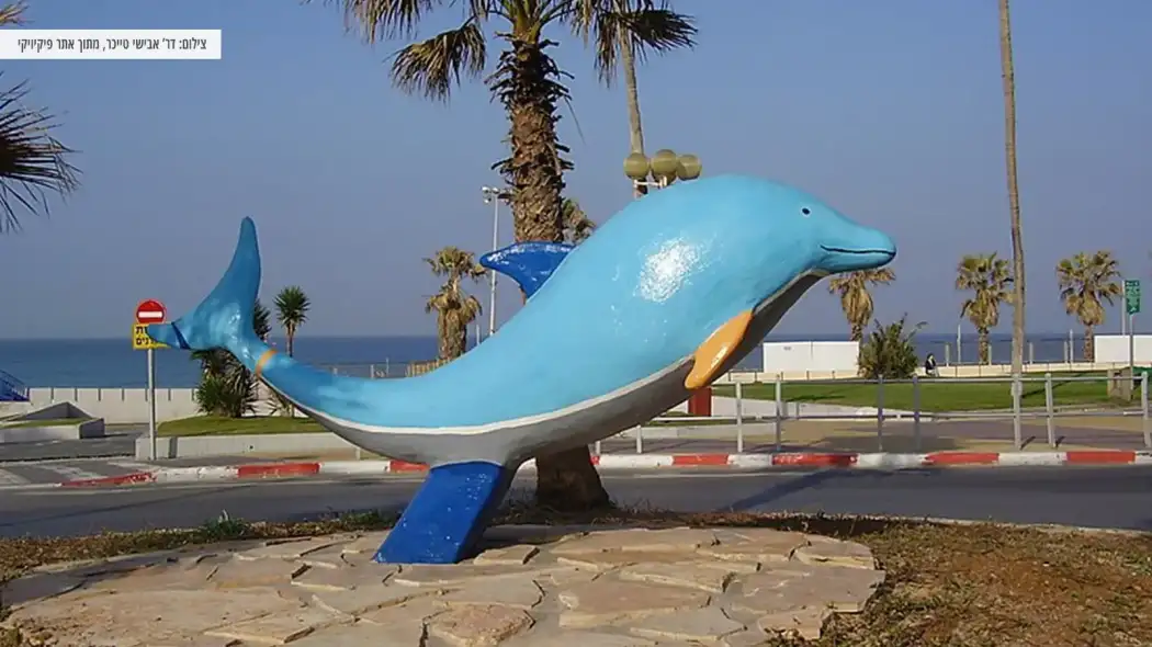 דולפין בטיילת בת ים