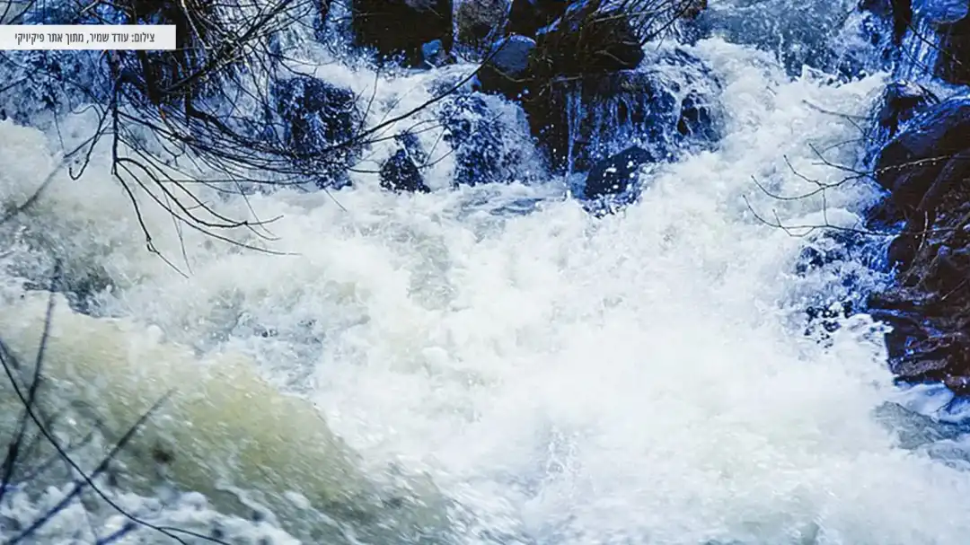 הטנק הסורי ההפוך בלב הבניאס