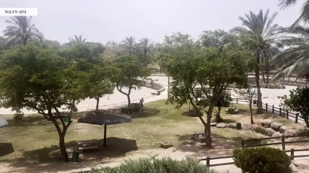 פארק גני חוגה לבילוי קסום בטבע