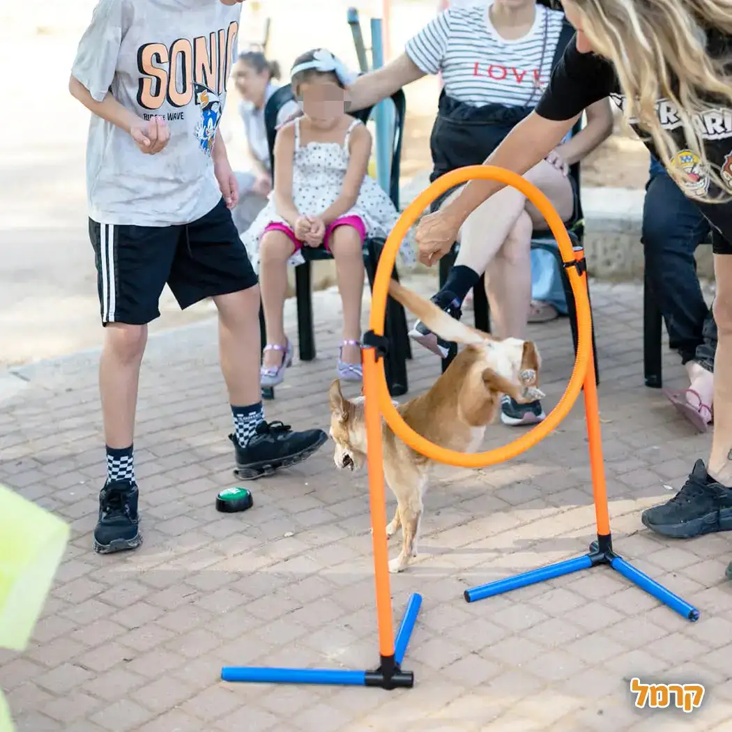 הפעלה כלבלבית עם ענבר