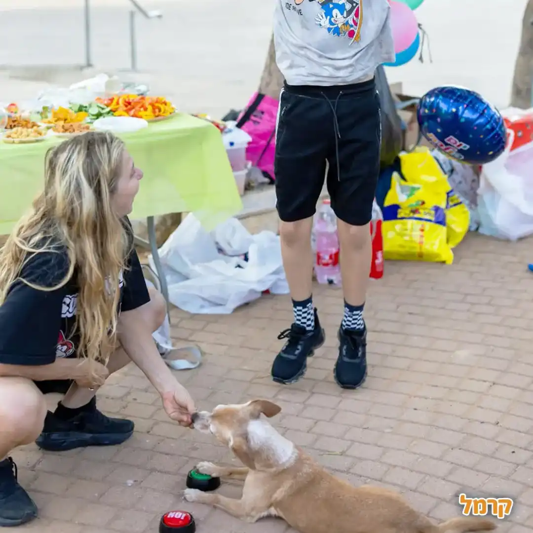 הפעלה כלבלבית עם ענבר