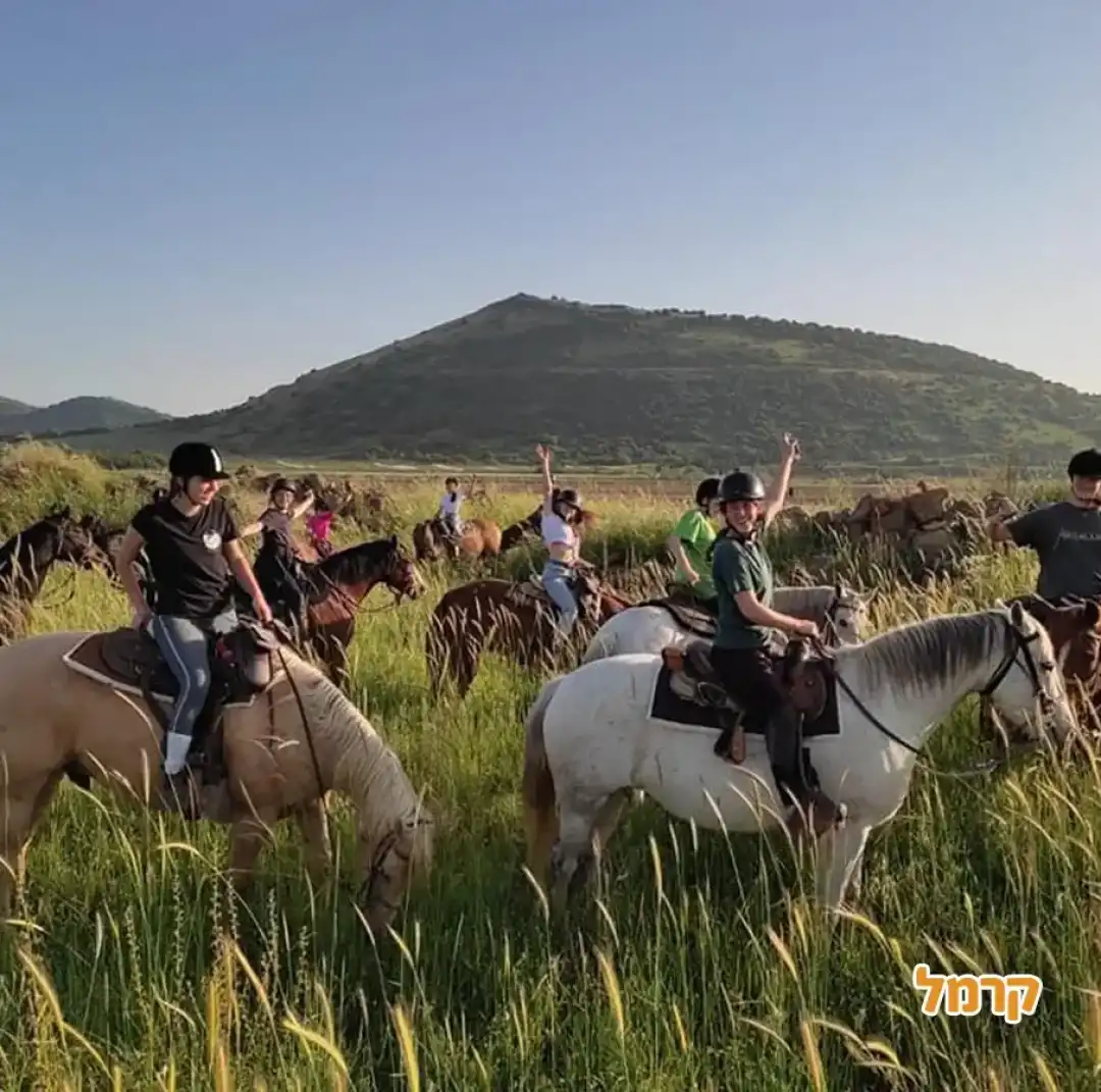 חוות הבוקרים