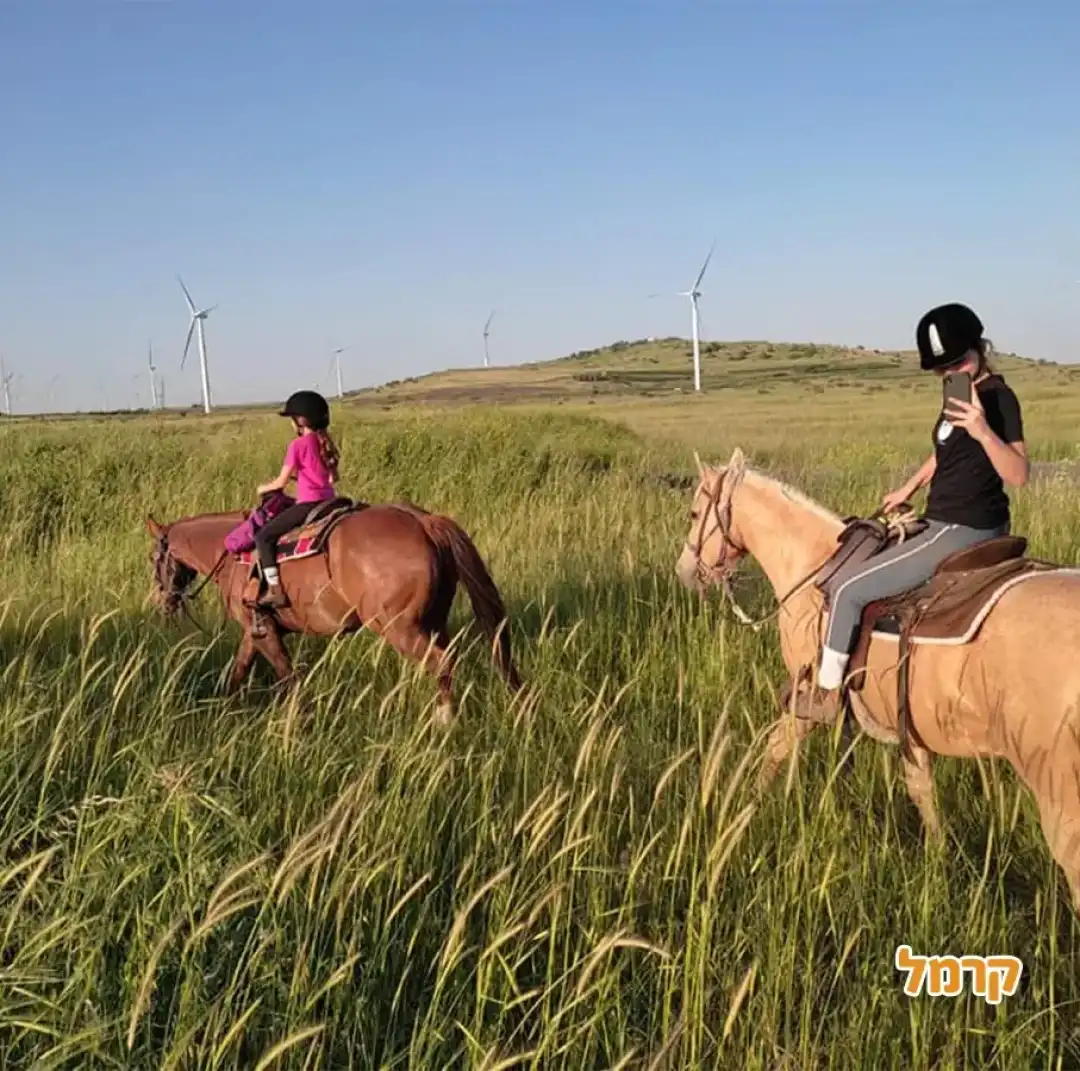 חוות הבוקרים