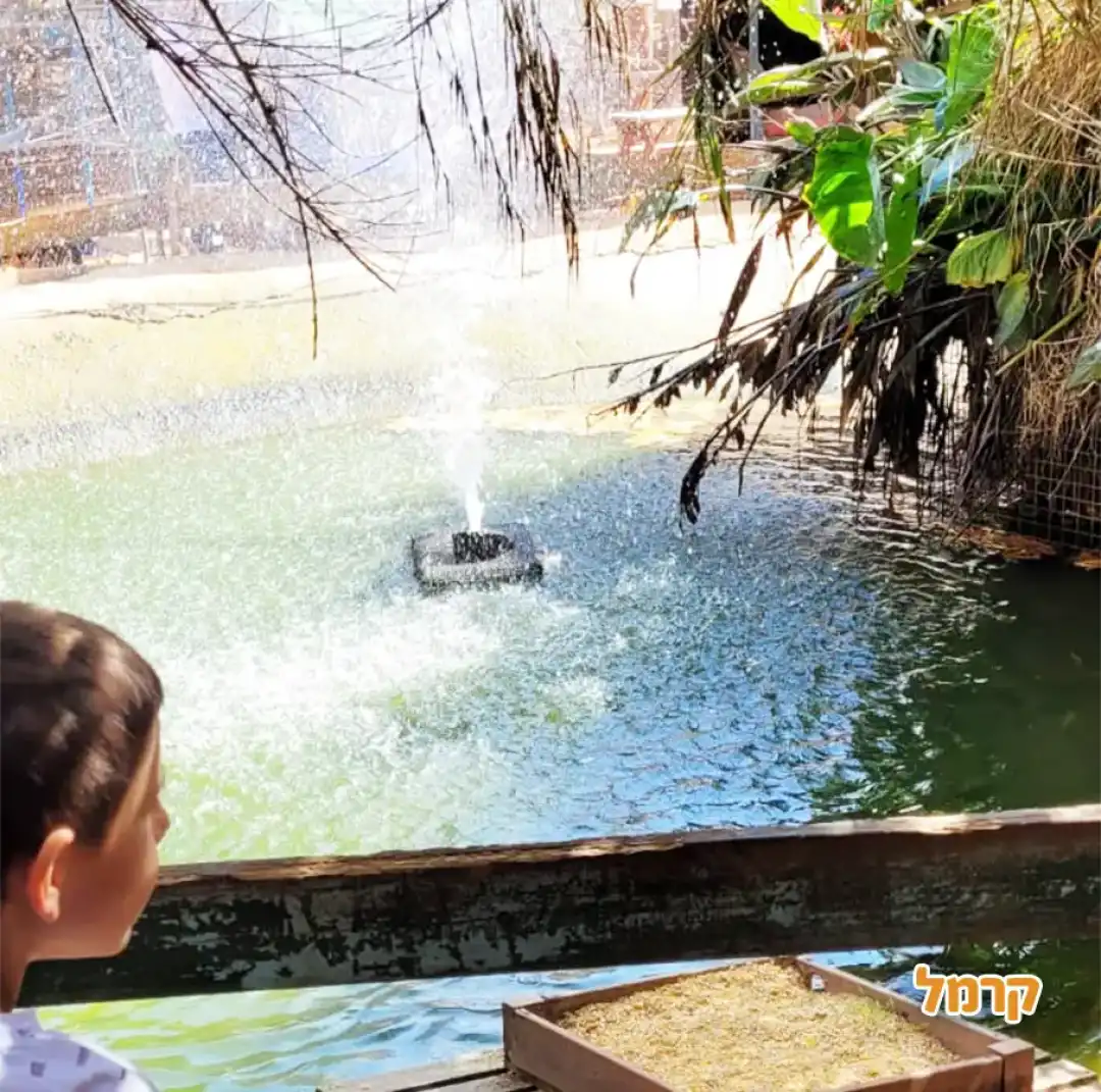 מזרקה באגם