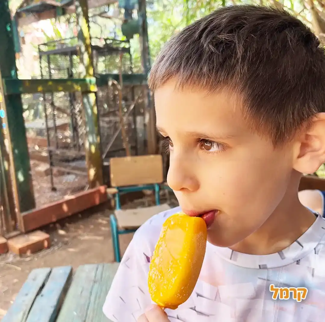 ילד אוכל ארטיק