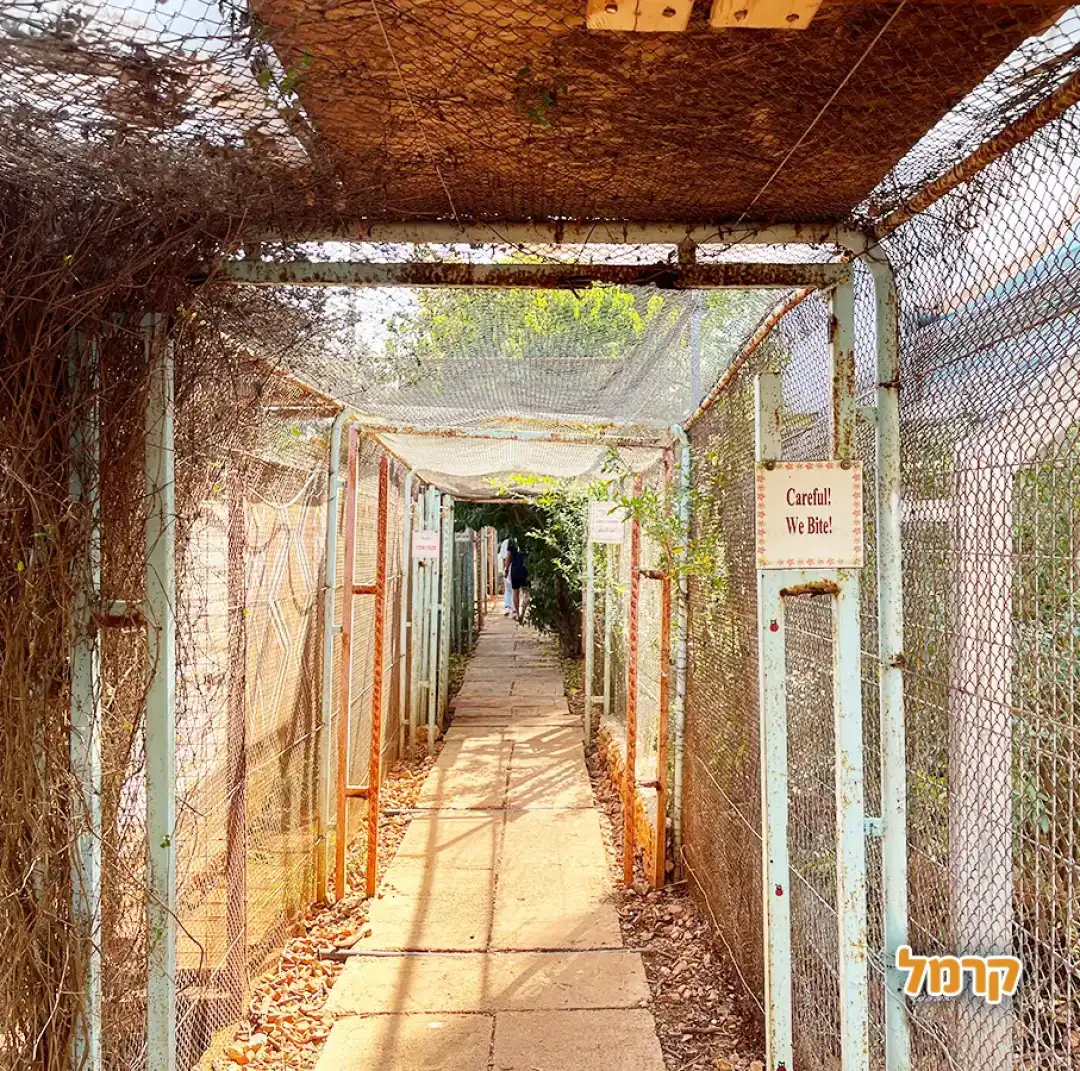 מסלול הכלובים