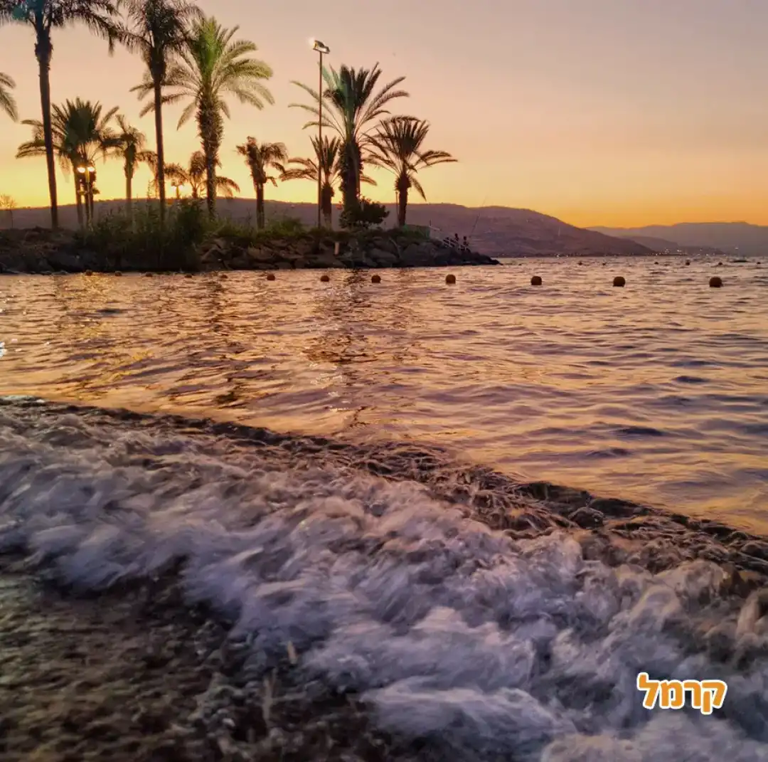 חוף הכנרת שצמוד לכפר נופש