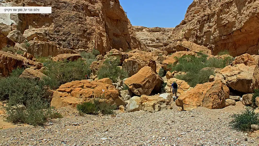בילוי מאתגר בנחל דרגה