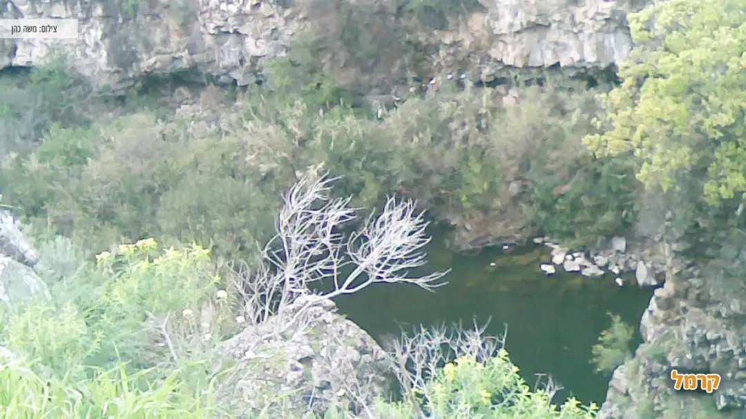 בריכת המשושים אחד היובלים של שפל הזאכי