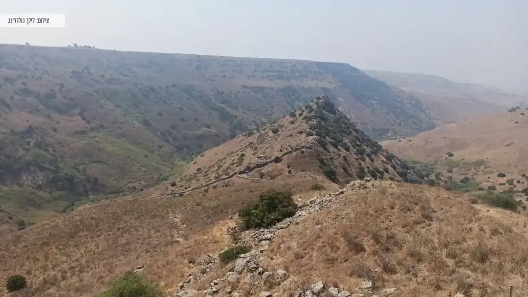 שמורת טבע גמלא