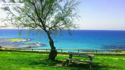 מים בצבע טורקיז ודשא ירוק למנוחה