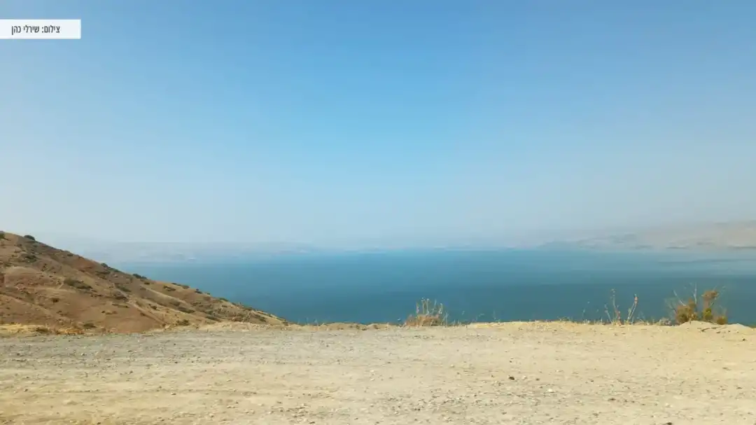 נוף פנורמי משתקף ממסלול יער שוויץ