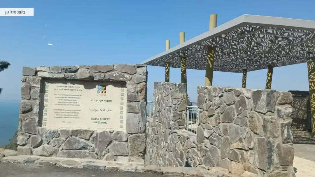 מצפור יער שוויץ