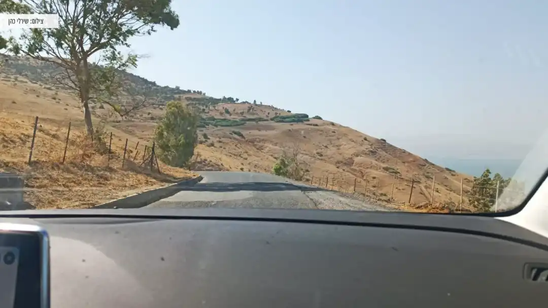 כביש העובר לאורך יער שוויץ